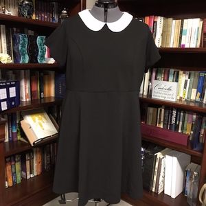 Torrid Textured Skater Dress